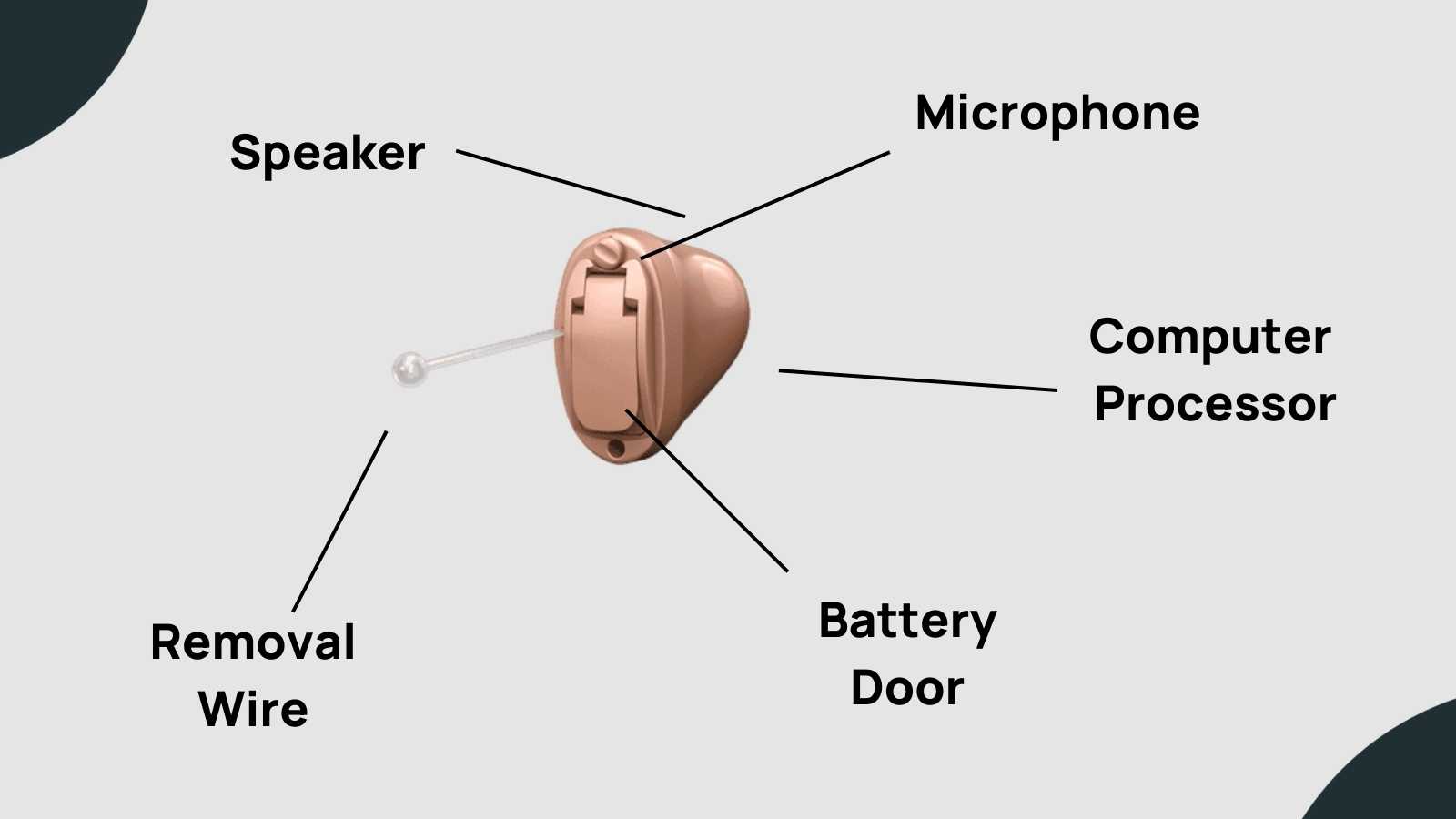 Hearing Aid Styles Explained With Photos RIC, BTE, IIC, ITE, CIC